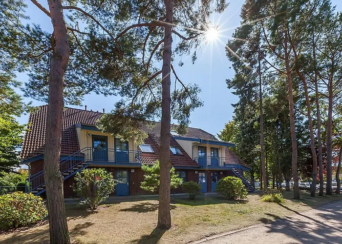 Papillon 04-4 بولتينهاجين